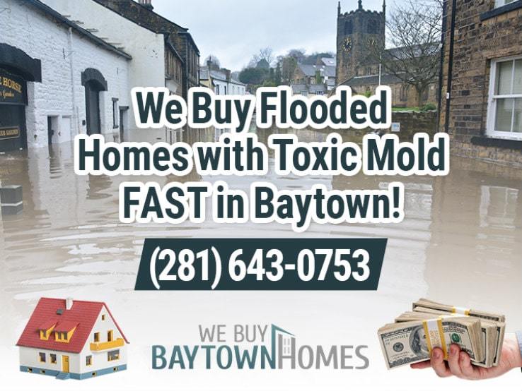 baytown water damage and mold